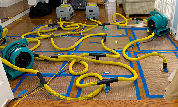 Professional Storm Water Damage Restoration technician working in Orrville, OH